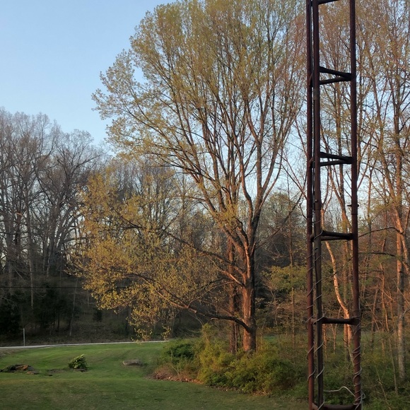 Meet your Posher, Amya - Picture 1 of 1